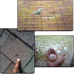 Buddys Roofing Images