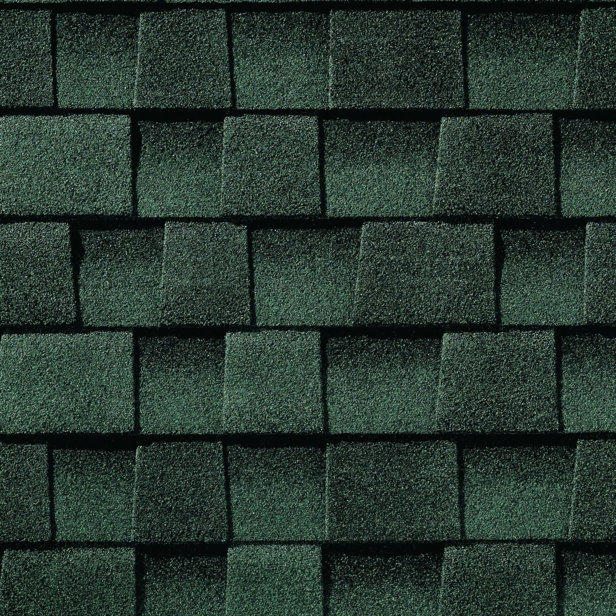Buddy's Roofing Images