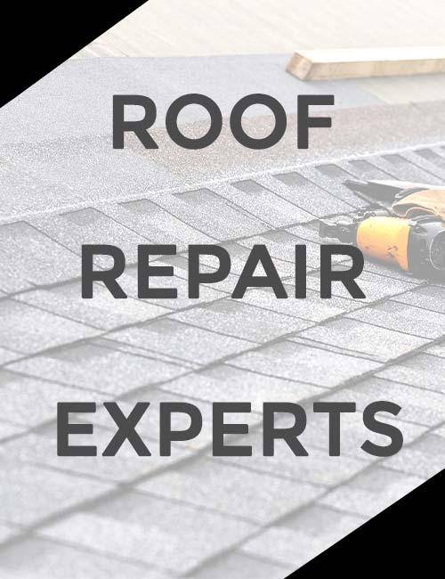 Buddy's Roofing Images