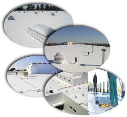 Buddy's Roofing Images