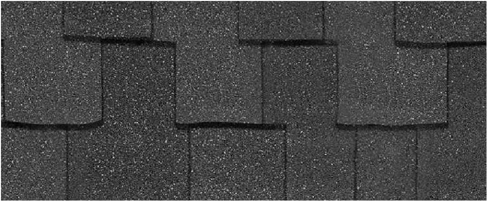Buddy's Roofing Images