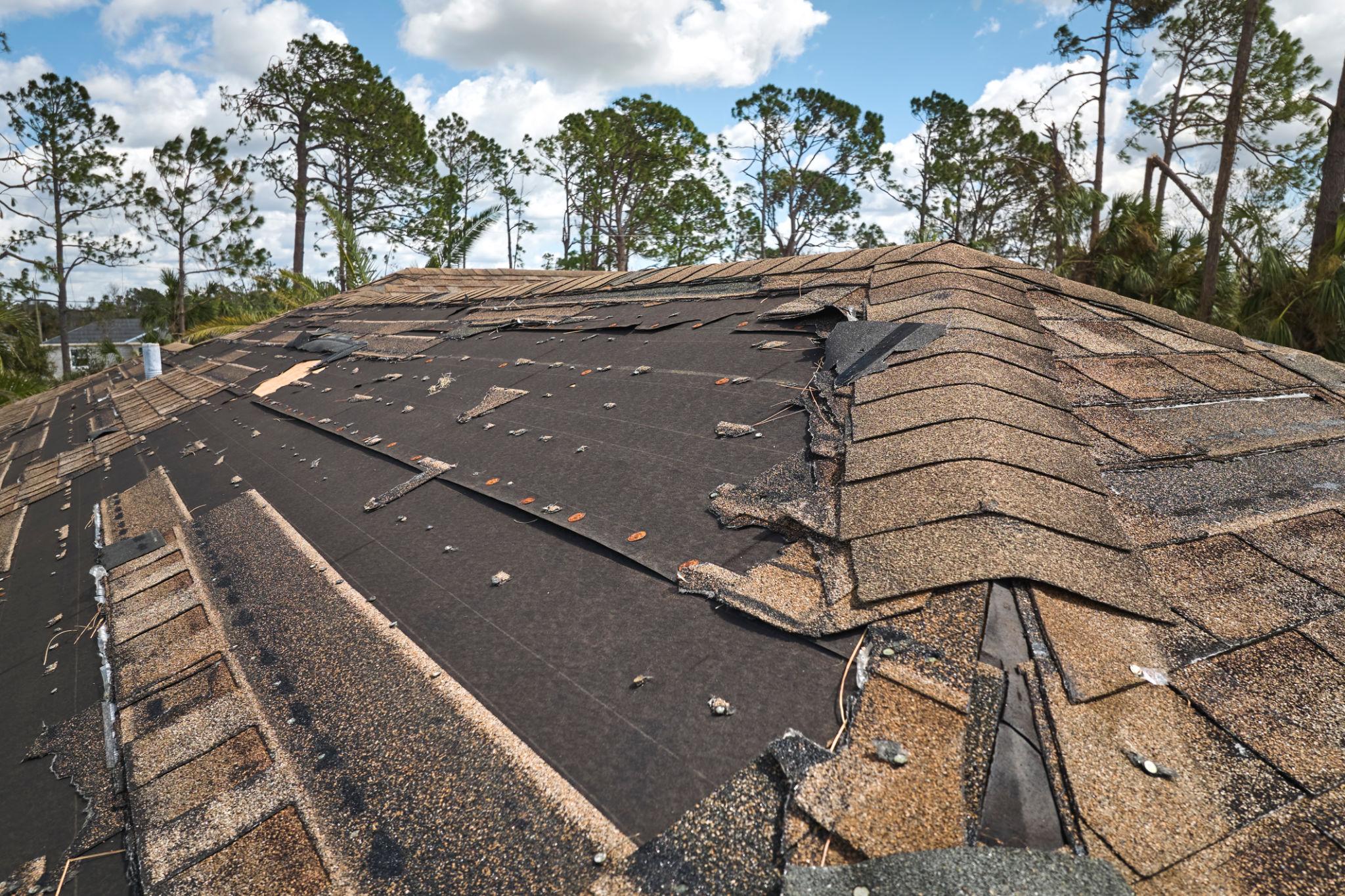 Free Inspection & Roof Estimate - Wesley Chapel