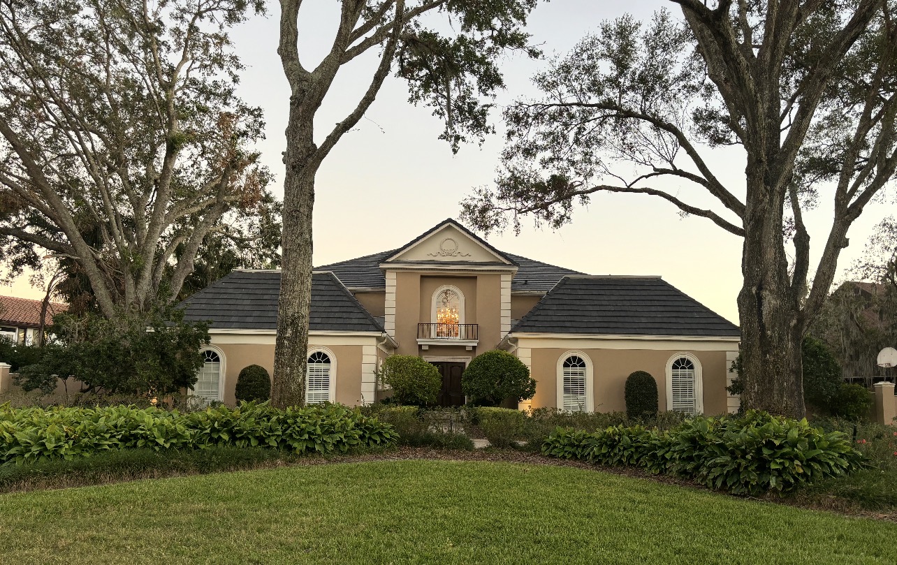 Gallery — photo 25