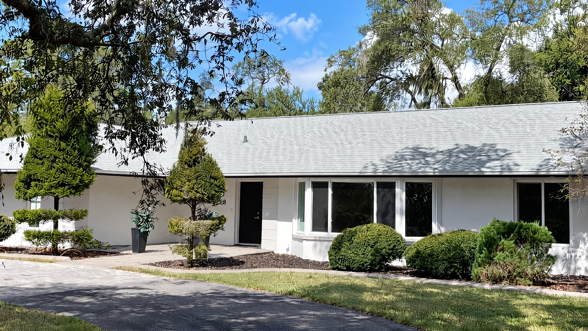 Gallery — photo 6